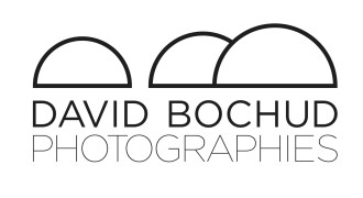 Logo David Bochud