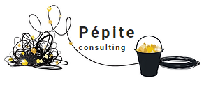 pépite consulting