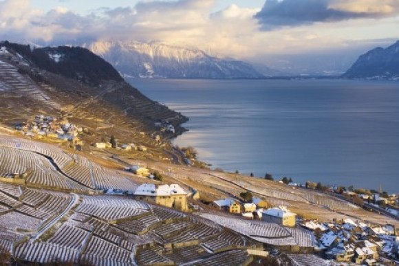 Lavaux 2023