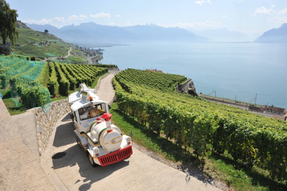 Lavaux-Panoramique