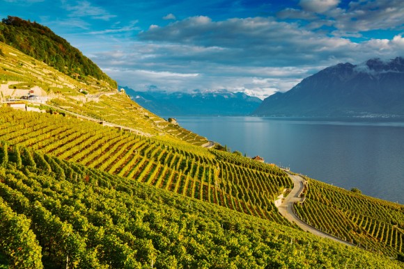 Lavaux 2022