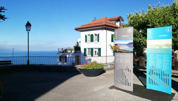 Lavaux