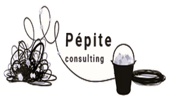 Pepite-Consulting