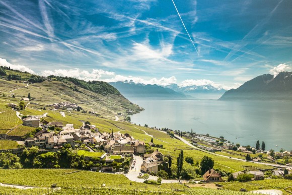 Lavaux